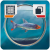 Fish Tank - Promo 2