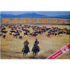 Rancher