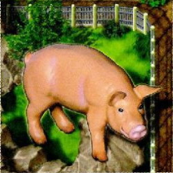 Zooloretto: Glücksschwein
