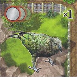 Zooloretto: Kea