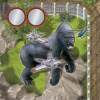 Zooloretto: King K.