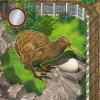 Zooloretto: Kiwi