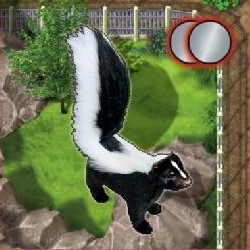Zooloretto: Stinktier