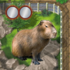 Zooloretto: Wasserschwein