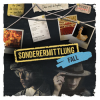 Sonderermittlung